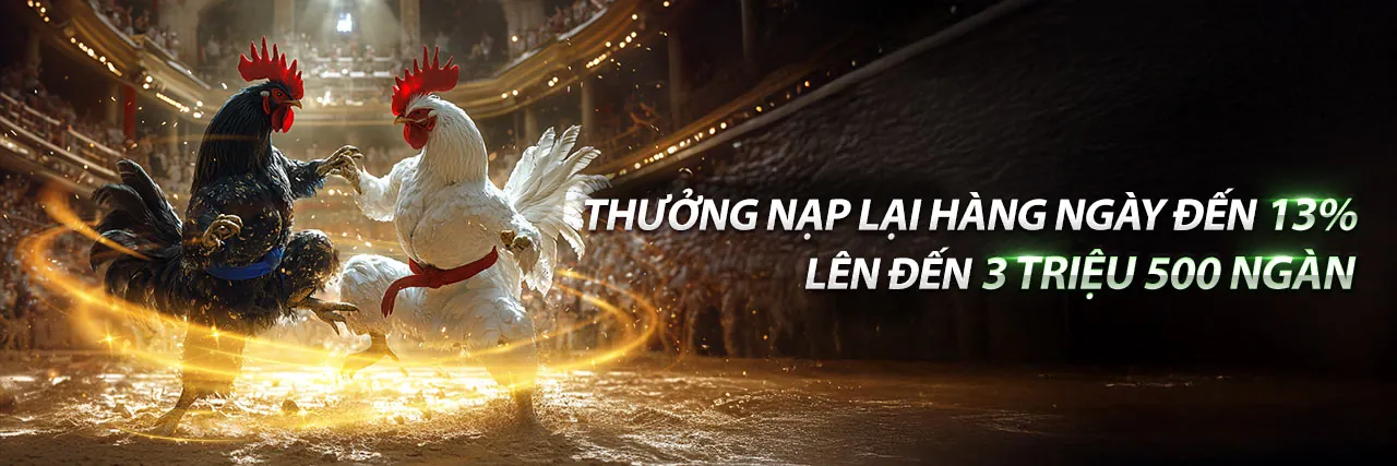 Hướng dẫn tải và cài đặt roobet app