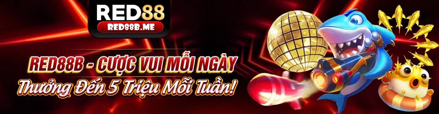Đội ngũ hỗ trợ khách hàng Roobet App chuyên nghiệp
