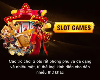 Thống Kê Và Phân Tích Roobet App