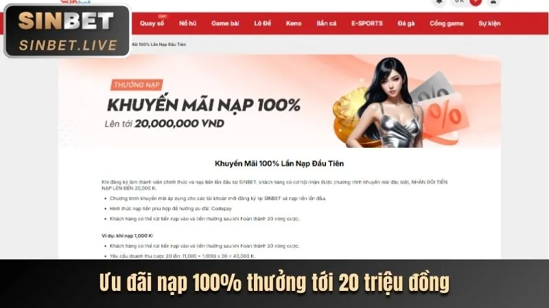 Các chương trình khuyến mãi và ưu đãi